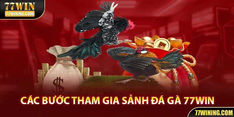 Toàn bộ quy trình tham gia soi kèo đá gà cho bạn mới