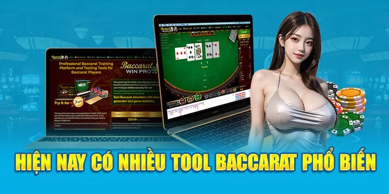 Hiện nay có nhiều tool Baccarat phổ biến