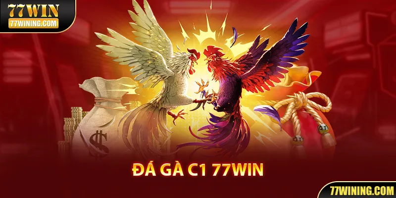 Đá Gà C1 | Trải Nghiệm Những Trận Đấu Đỉnh Cao Tại 77WIN