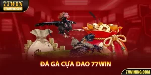 Đá Gà Cựa Dao - Cá Cược Đỉnh Cao Chỉ Có Tại Nhà Cái 77WIN