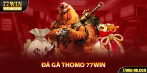 Đá Gà Thomo 77WIN - Sân Chơi Giải Trí Hấp Dẫn Và Gay Cấn