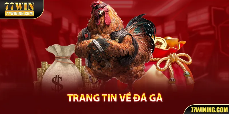 Trang tin tức 77WIN cực hữu ích cho kê thủ